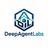 DeepAgentLabs avatar
