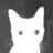 catoncat avatar