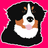 muchdogesec avatar